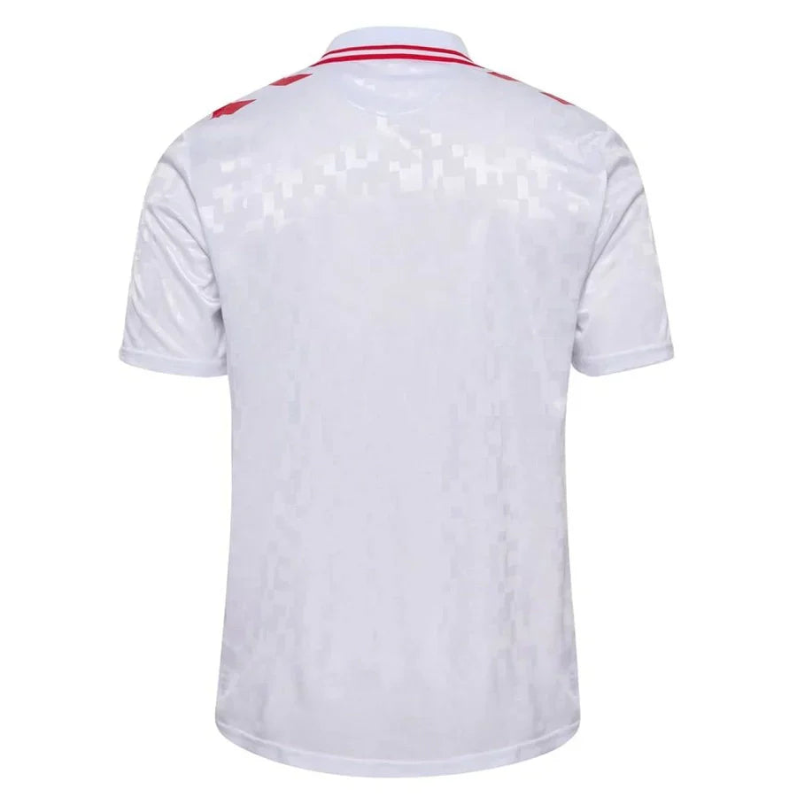 Maillot Danemark 24/25